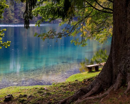 Peaceful nature landscape with clear lake representing visual clarity