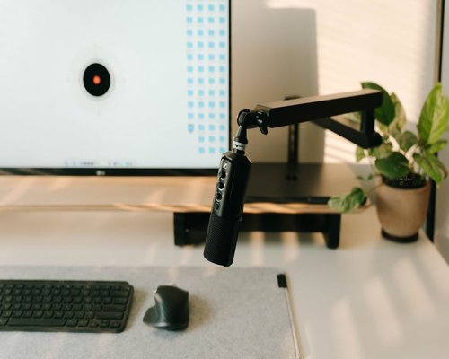 Ergonomic minimalist workspace setup with computer and plant